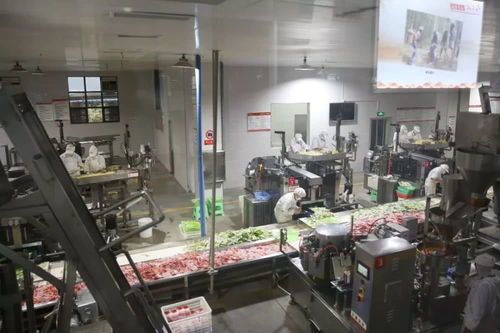 复工复产 赤水开 竹 马力做 竹 文章